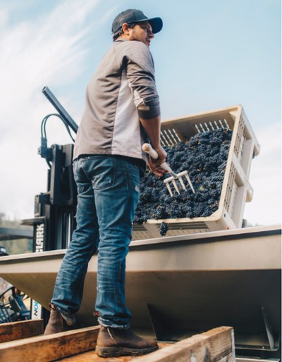 Chase Renton - Winemaker / General Manager